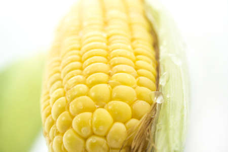 corn cob between green leaves .の写真素材