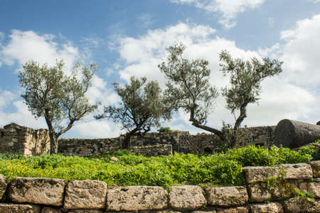 Umm Qais, Gadara City north-west of Jordan の写真素材