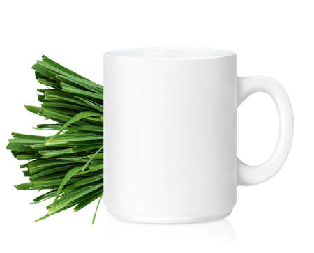 White ceramic mug with Herbs, Herbs Drink,  Isolated on a white. の写真素材