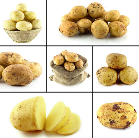 Healthy and organic food, Set of fresh potatoes .の写真素材