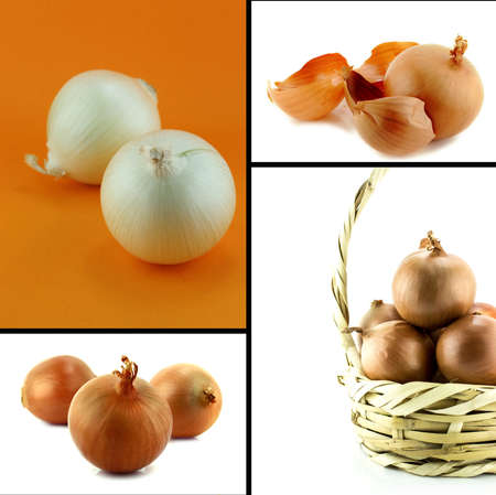 Healthy and organic food, Set of fresh Onion.の写真素材