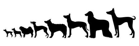 Collection of vector silhouette different breeds of dogs on white background.のイラスト素材