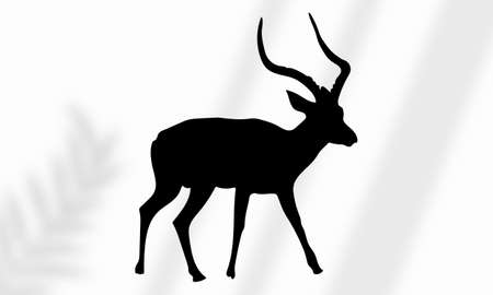 Collection of deer silhouettes set on white backgroundのイラスト素材