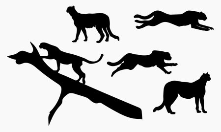 Collection of cheetah silhouette set Isolate on white background vector illustrationのイラスト素材