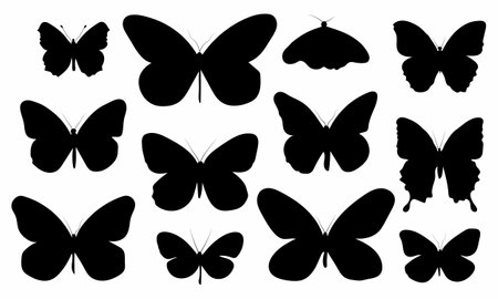 Butterflies silhouette set. Vector illustrationのイラスト素材