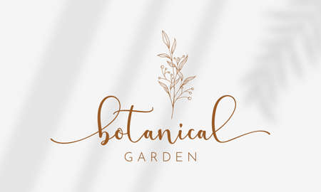 Botanical Floral element Hand Drawn Logo with Wild Flower and Leaves. Logo for spa and beauty salon, boutique, organic shop, wedding, floral designer, interior, photographyのイラスト素材
