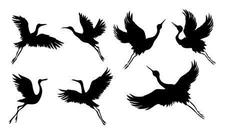 Collection of cranes bird silhouette isolated on white backgroundのイラスト素材
