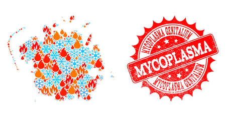 Composition of winter and fire map of Micronesia island and Mycoplasma Genitalium grunge stamp seal. Mosaic vector map of Micronesia island is designed with winter and fire symbols.のイラスト素材