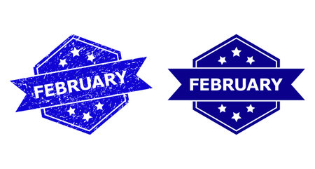 Hexagonal FEBRUARY seal stamp on a white background, with clean variant. Flat vector blue scratched seal stamp with FEBRUARY title inside hexagon shape, ribbon is used also.のイラスト素材