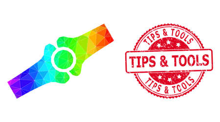 Red round corroded TIPS & TOOLS badge and lowpoly artificial bone joint icon with spectral vibrant gradient.のイラスト素材