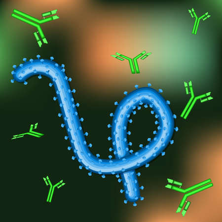 virus ebola and antibodies. Medical backgroundのイラスト素材