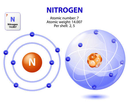 atom nitrogen. structure atom Nitrogen. Vectorのイラスト素材