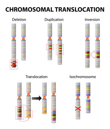 Mutation. Chromosome abnormalityのイラスト素材