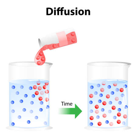 Diffusion - process in physics. Particles in a glass of water randomly move around, the particles will eventually become distributed randomly and uniformly. It is a process, which involves movement of a substance from a region of its higher concentration のイラスト素材
