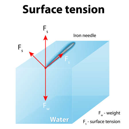 Surface tension. Iron needle stay atop the liquid because of surface tension. If the needle were placed point down on the surface, its weight acting on a smaller area would break the surface, and it would sink.のイラスト素材