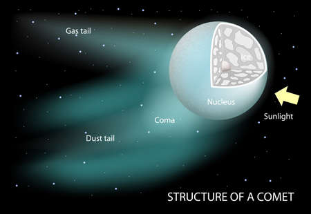structure of a comet. Diagram showing the nucleus, coma and tails. The dust tail is gently curved. it is rich in microscopic dust particles that reflect sunlight. Ion tail is composed of gases broken apart by the Sun's ultraviolet radiation