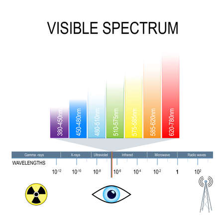 Visible spectrum and invisible light. Human eyes are only sensitive to the range that is between wavelength 780 nanometers and 380 nanometers in length.のイラスト素材