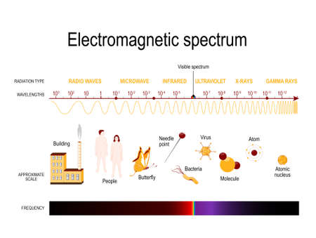 Diagram of the electromagnetic spectrum. illustration showing various properties across the range of frequencies and wavelengthsのイラスト素材