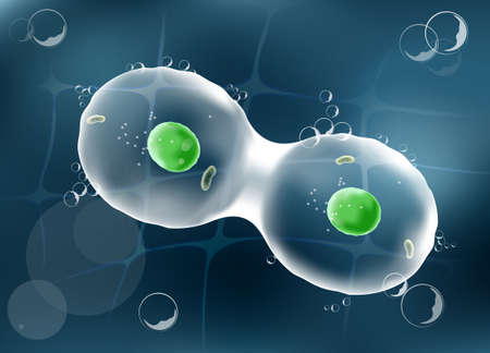 Cell division on a dark background. Human anatomy. vector. Illustration easy editable for Your color
