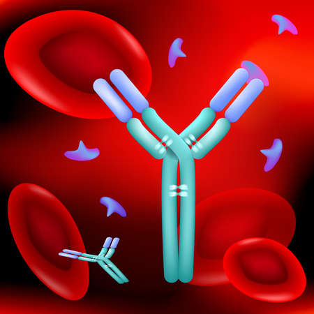 Antibody molecule, antigen and red blood cells in blood flow, under microscope red background vector. Illustration easy editable for your color.のイラスト素材
