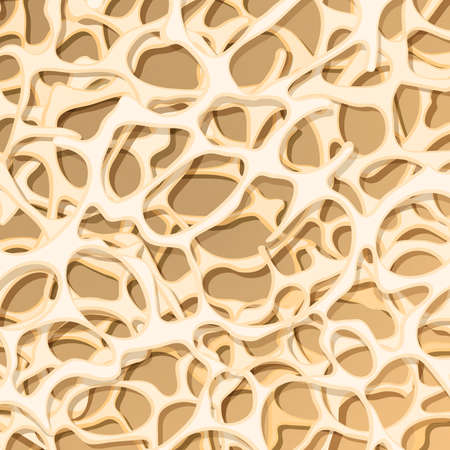 Bone structure medical backgroundのイラスト素材
