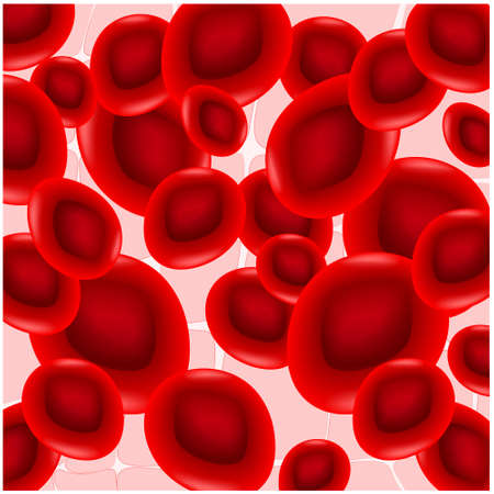Anisocytosis. Red blood cells are of unequal size. Vector illustration for scientific, medical or microbiological use. erythrocytes flowing in a vein or arteryのイラスト素材