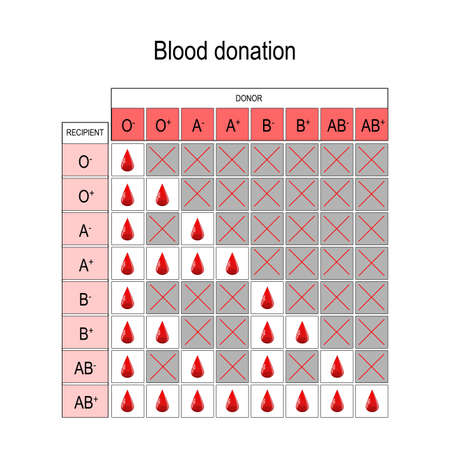 Blood Donation Chart. Recipient and Donor. Types of blood (A, B, AB, O). There is a specific compatibility between groups for donating and receiving blood. Only a certain type of blood group can be received or donated by someone. Vector diagram for medical, educational, and science useのイラスト素材