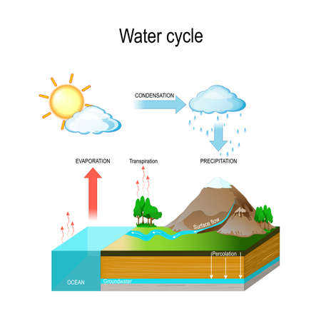 Water cycle in nature environment. The sun, which drives the water cycle, heats water in oceans and seas. Water evaporates as water vapor into the air. isometric diagram. vector illustration with and geological reliefのイラスト素材