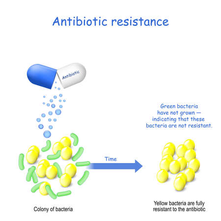Antibiotic resistance. Two type of bacteria (not resistant and fully resistant). Colony of bacteria and capsule with antibiotic.のイラスト素材