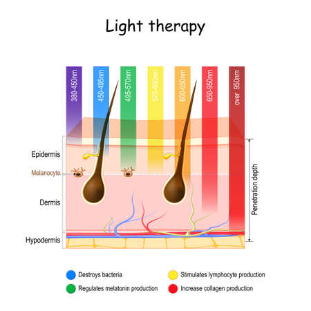 Light therapy. phototherapy of the skin. heliotherapy treatment for seasonal affective disorder (SAD). skin and specific wavelengths. using polychromatic polarized light for skincare. Vector illustrationのイラスト素材