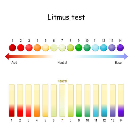 Litmus test. ph scale. Use of litmus paper for test whether a solution is acidic or basic. paper turns red under acidic conditions, and turns blue under basic or alkaline conditionsのイラスト素材