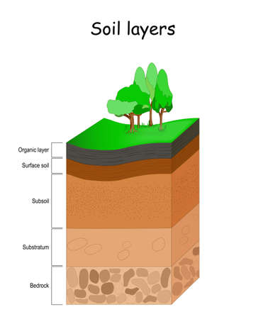 Soil layers. Structure of soil. vector diagram. Earth Geology infographics.のイラスト素材