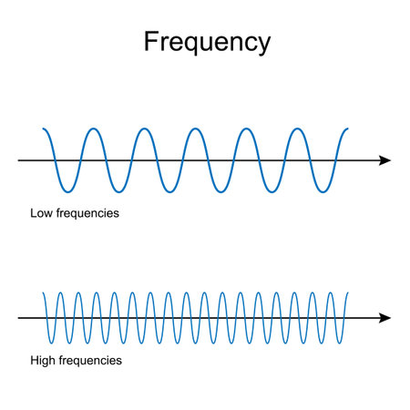 frequency. Low And High Frequency waves. physics. vector illustration