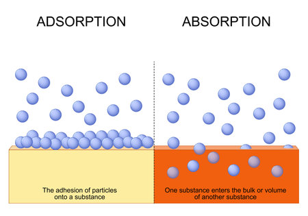 Difference between adsorption and absorption. Absorption - One substance enters the bulk or volume of another substance. Adsorption - The adhesion of particles onto a substance. vector illustration.のイラスト素材