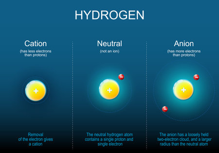 Anion, Cation and Neutral atoms of Hydrogen. After removal of the electron gives a cation. The anion has a loosely held electrons cloud, and a larger radius than the neutral atom. The neutral hydrogen atom contains a single proton and single electron. Isometric flat vector Illustrationのイラスト素材