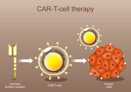 CAR-T cell therapy. cancer immunotherapy. Chimeric antigen receptor. Genetic engineering. Personalized medicine. Tumor targeting. Vector illustration. Isometric Flat vector illustration.のイラスト素材