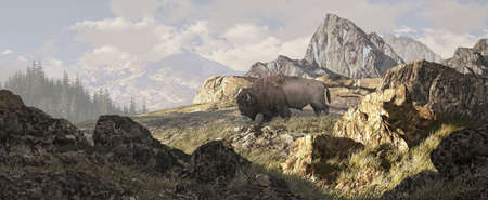 A bison in a Yellowstone landscape setting. の写真素材