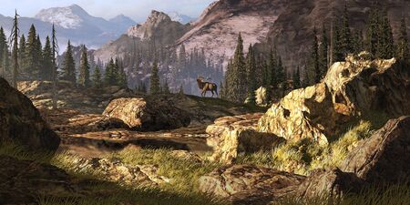 Elk near a stream in a Rocky Mountain landscape. の写真素材