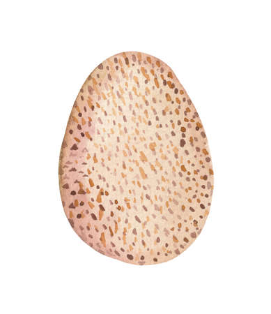 Watercolor chicken egg of brown color. Object on a white background, for design compositions on the theme of farm life or life in the suburbs.の写真素材
