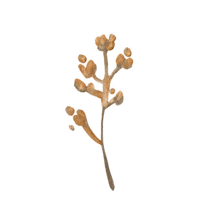 Watercolor leaf for decorative use of patterns, wedding and spring themes.の写真素材