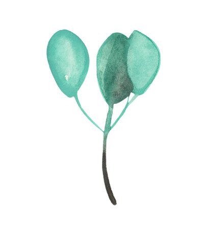 Watercolor leaf (branch with leaves) for decorative use of patterns, wedding and spring themes.の写真素材