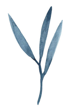 Watercolor leaf for decorative use of patterns, wedding and spring themesの写真素材