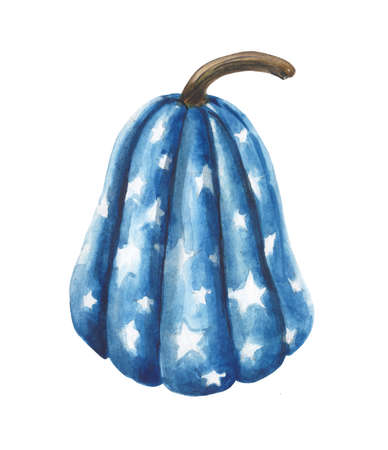 The watercolor fruit of a decorative pumpkin in the colors of the US flag. Element for design compositions on the theme of patriotic national holidaysの写真素材