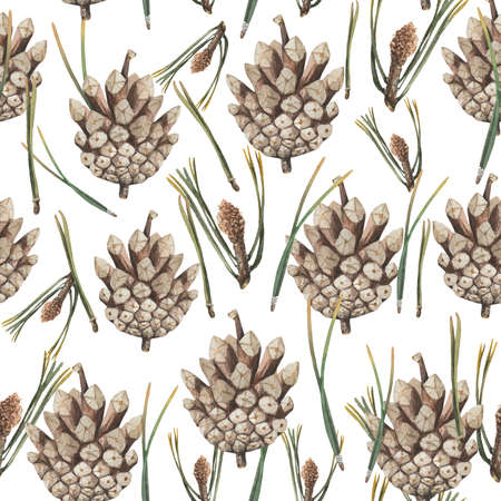For decoration of design compositions containing natural elements.の写真素材