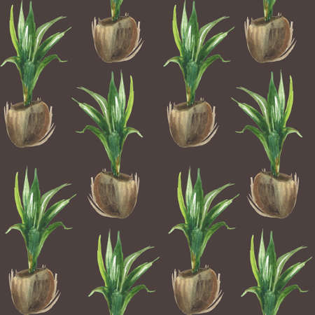 Watercolor seamless tropical pattern of half-coconuts with palm tree sprouts on a dark brown background. For compositions on the theme of the sun, summer, festive mood.の写真素材