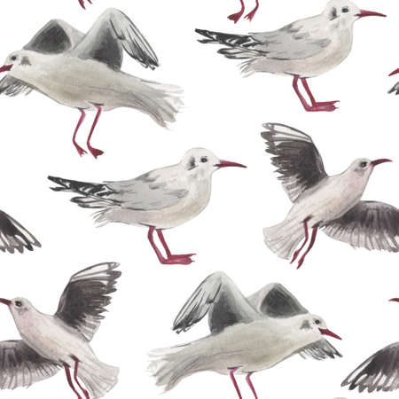 Watercolor seamless pattern of seagulls. On the topic of outdoor activities on the coast near the water. Summer mood in a composition on a white background.の写真素材