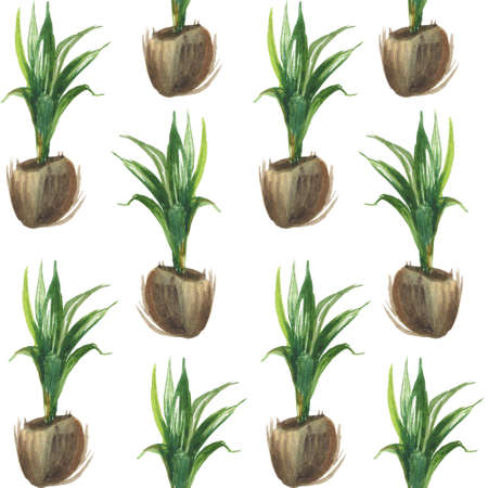 Watercolor seamless tropical pattern of half-coconuts with palm tree sprouts on a white background. For compositions on the theme of the sun, summer, festive mood.の写真素材