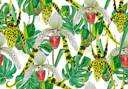 Pattern leaves of monsters and orchids, well laid out, suitable for printing on fabric, paper. Background - whiteの写真素材