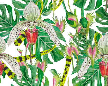 Pattern leaves of monsters and orchids, well laid out, suitable for printing on fabric, paper. Background - whiteの写真素材