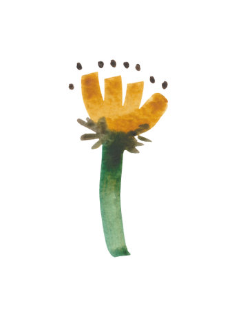 Watercolor flowers dried in the style of primitivism. Decorative autumn flower for a variety of stylish design compositions. Create your own print pattern.の写真素材